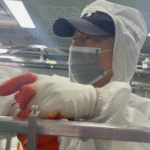 Polycarbonate sheet hardening processing plant employees